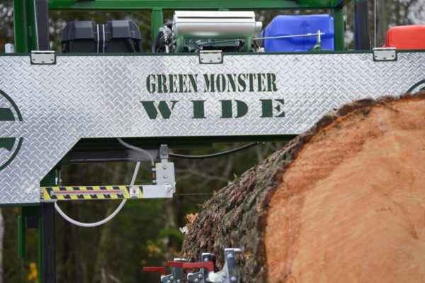 Green Monster WIDE - Image 3