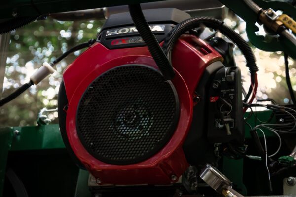 Green Monster - Image 8