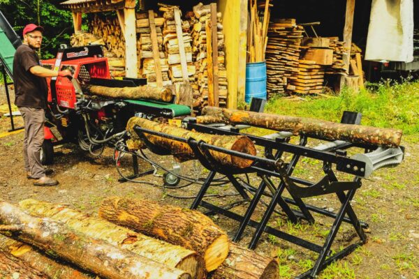 RM1 Hydraulic Infeed Log Lift - Image 4