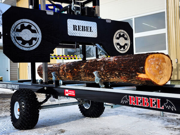 Rebel - Image 2
