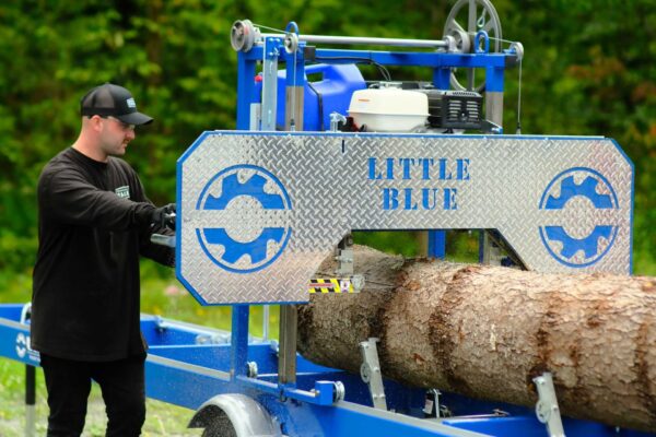 Little Blue - Image 2