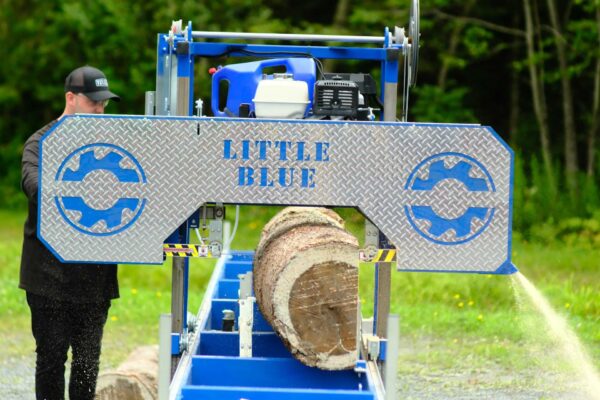 Little Blue - Image 3