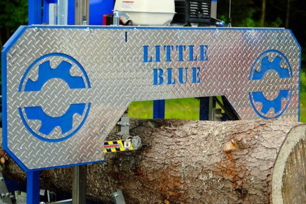 Little Blue - Image 5